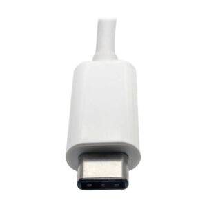 Eaton Tripp Lite Series USB C to VGA Multiport Video Adapter Converter w/ USB-A Hub, USB-C PD Charging Port & Gigabit Ethernet Port, Thunderbolt 3 Compatible USB Type C to VGA, USB Type-C - Estação de engate - USB - VGA - 1GbE