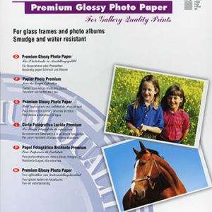 Epson Premium - Brilhante - A3 (297 x 420 mm) - 255 g/m² - 20 folha(s) papel fotográfico - para Expression Photo XP-970, SureColor SC-P700, P900, T2100, T3100, T3405, T5100, T5400, T5405