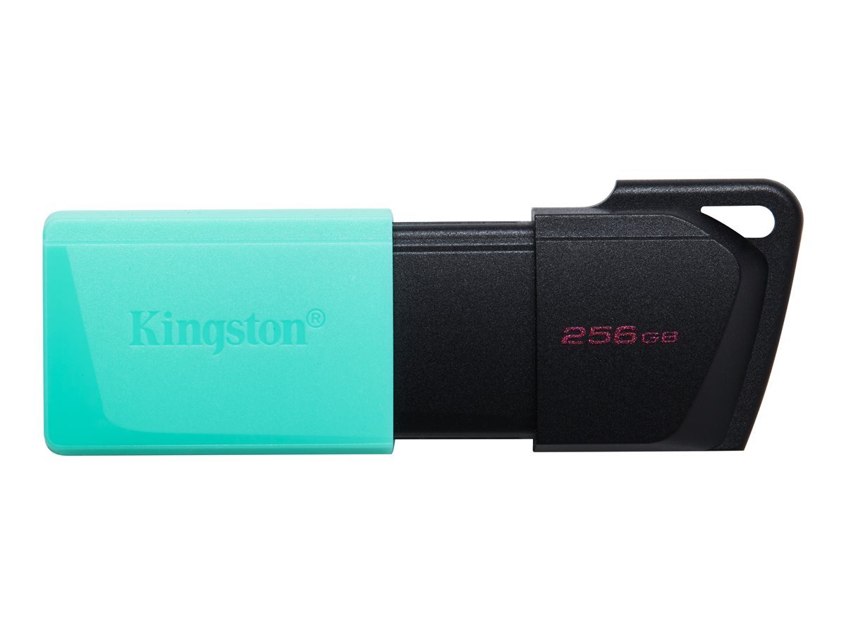 Kingston DataTraveler Exodia M - drive flash USB - 256 GB