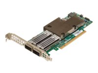 Broadcom NetXtreme E-Series P2100G - Adaptador de rede - PCIe 4.0 x16 baixo perfil - 100 Gigabit QSFP56 x 2