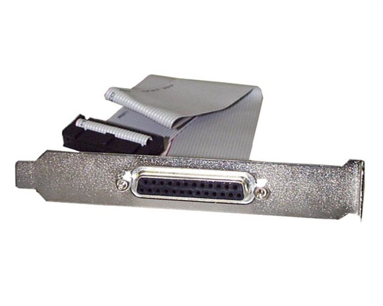 StarTech.com 16in DB25 Parallel Female to IDC 25 Pin Header Slot Plate (PLATE25F16) - Painel paralelo - DB-25 (F) para 26 PIN IDC (F) - 40.64 cm - cinza