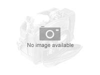 Pixel 10 Pro XL Case Porcelain