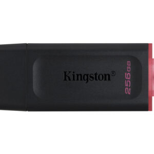 Kingston DataTraveler Exodia - Drive flash USB - 256 GB - USB 3.2 Gen 1 - preto/rosa
