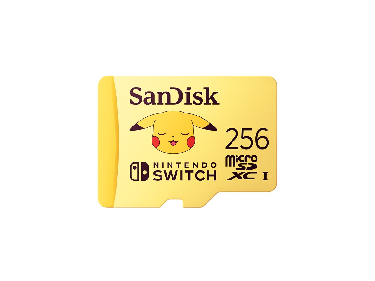 SanDisk - Cartão de memória flash - 256 GB - Video Class V30 / UHS-I U3 - microSDXC UHS-I