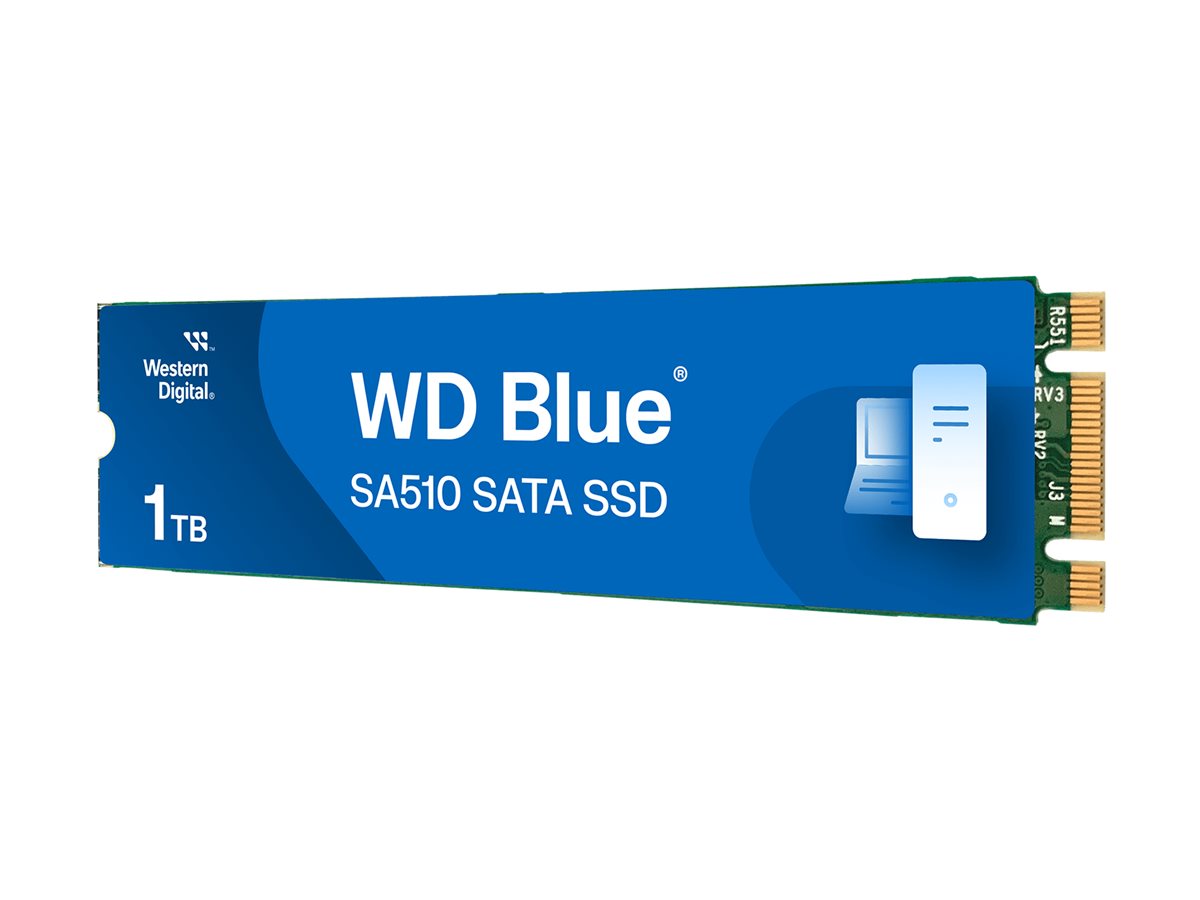 WD Blue SA510 WDS100T3B0B-00AXS0 - SSD - 1 TB - interna - M.2 2280 - SATA 6Gb/s