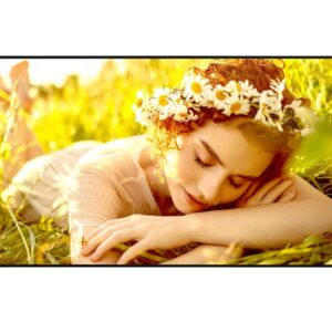 LG 50UL5Q-E - 50" Classe Diagonal UL5Q-E Series ecrã LCD com luz de fundo LED - sinalização digital com Profissional Integrado: Idioma - webOS - 4K UHD (2160p) 3840 x 2160 - Direct LED - preto