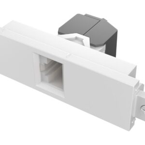 Modular AV faceplate component - RJ45 cat6a module - female on front - butterfly type - bare-wire punch-down on rear - low next noise design - system warranty compliant - fixes into techconnect surrounds - plastic - white