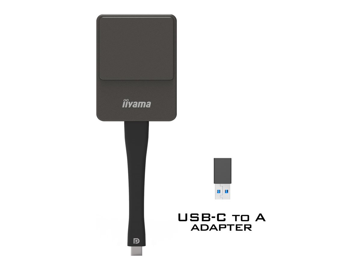 iiyama WP D002C - Adaptador de streaming de média de rede - prata / preto