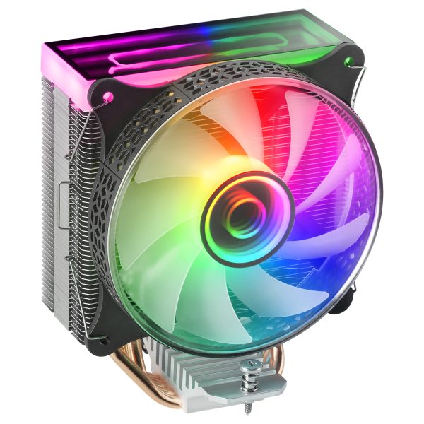 107282042_4776313785