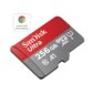 3ddacb4d-0b09-474e-965e-f7f6d054310e