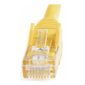 495407bd-f954-43ec-9f9a-0a12126099cb