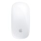 4baf7de1-8aad-4682-99ac-79a0a698a7cd