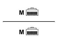 Belkin - Cabo patch - RJ-45 (M) para RJ-45 (M) - 10 m - CAT 6 - sem nós