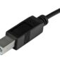 5b4d4893-ba66-43ec-8f51-531d2cf5eadc