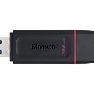 Kingston DataTraveler Exodia - Drive flash USB - 256 GB - USB 3.2 Gen 1 - preto/rosa