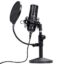 art_tru-mic20gxt2026920emita20ii_1