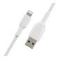 bc86c92b-fba0-4632-b491-2dbf960caa1c