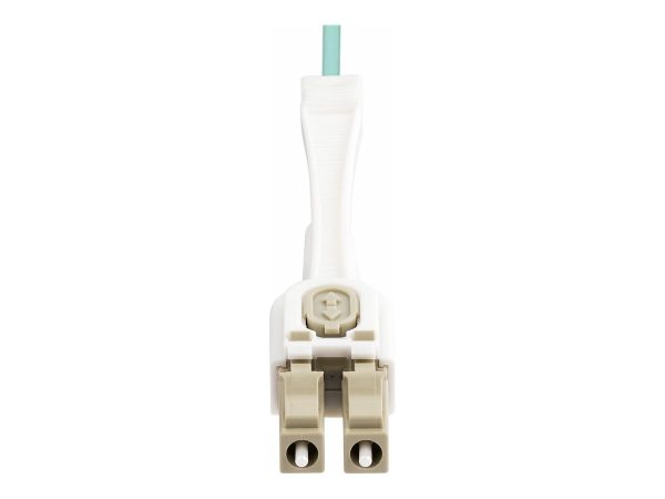 bcad3487-ed97-4e1a-926a-661f9f906d50 bcad3487-ed97-4e1a-926a-661f9f906d50