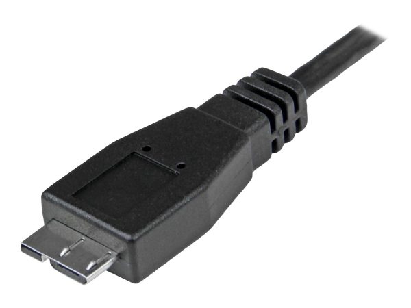e99c28cb-664f-4944-983a-095e832e29e6 e99c28cb-664f-4944-983a-095e832e29e6