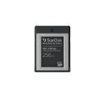SanDisk Professional - Cartão de memória flash - 256 GB - CFexpress Tipo B - preto