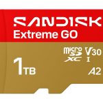 SanDisk Extreme Go - Cartão de memória flash - 1 TB - A2 / Video Class V30 / UHS-I U3 - microSDHC UHS-I