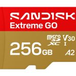 SanDisk Extreme Go - Cartão de memória flash - 256 GB - A2 / Video Class V30 / UHS-I U1 - microSDHC UHS-I