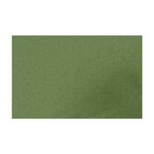 Placa de Cor Musgami Verde Musgo 50x70cm 1un