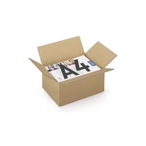 Caixa Cartão Simples 312x225x152mm (0,0106m3)- 25un