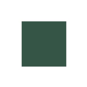 Cartolina A3 Verde Amazonas 185g Canson 50 Folhas