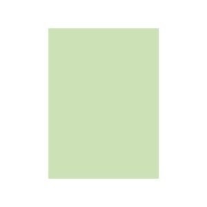 Cartolina A4 Verde 3 250g 125 Folhas