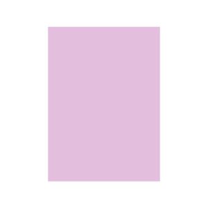 Cartolina A4 180g Rosa 7A 1 Folha