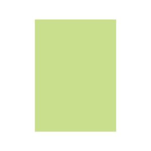 Cartolina A4 180g Verde Suave 3A 1 Folha