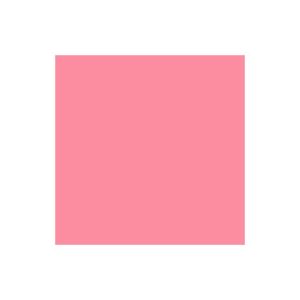 Cartolina 50x65cm Rosa Chicla 185g 1 Folha Canson