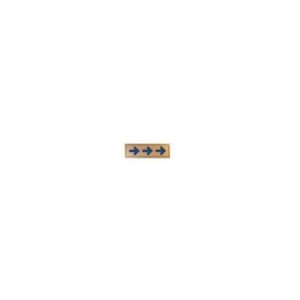 Sinalética Setas Plástico Adesivo 17x5.5mm