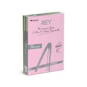 Papel Fotocopia 5 Cores Suaves A4 080gr 5x100=500Fls