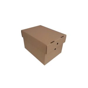 Caixa Arquivo com Tampa 306x226x197mm 25un