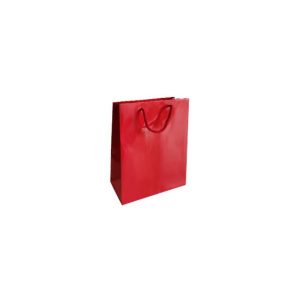 Saco 24x10x31cm Papel Couché 200g c/Asas Cordão Vermelho 1un