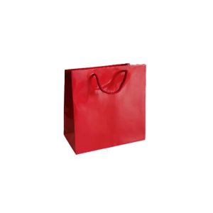 Saco 35x12x36cm Papel Couché 200g c/Asas Cordão Vermelho 1un