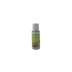 Recarga Ambientador BulkySoft Aerosol Citrus 100ml 12un