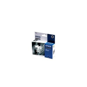 Tinteiro Epson T0541 Preto Foto C13T05414020 13ml