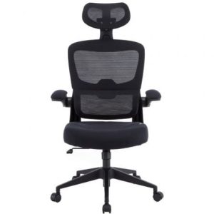 Cadeira Gaming Woxter Ergo/ Preto